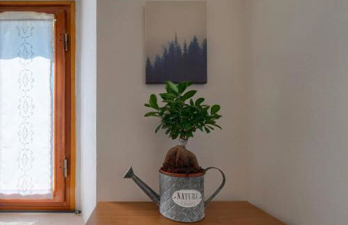 L'aia dì Trippa all'Aria Mugello - Foto 14