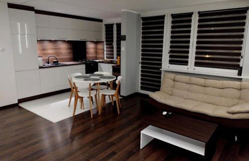 Lagan Apartament - Foto 11