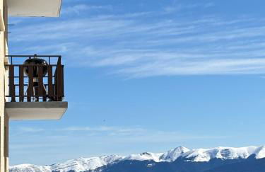 6 Places Montreal I Pla d'Adet - Foto 6