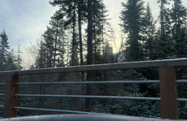 The BOAT HAUS A Montana Tiny Cabin Forest Retreat - Foto 33