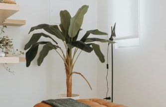 La Paloma Alojamentos - Foto 1