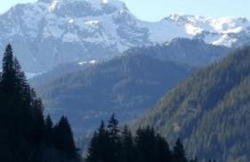 Le Chardon Bleu - Foto 11