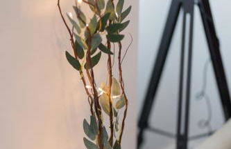 Entire home in Staffordshire - Foto 30