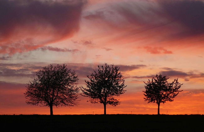 Hill-view Holiday Home in Dankerode Near Lake and Hiking - Foto 45