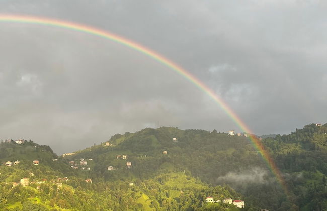 Dereli Suit Apart - Foto 38