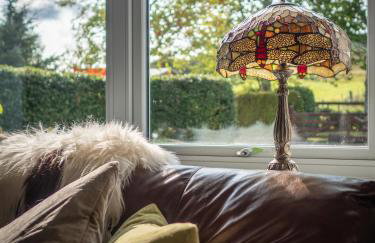 The Eagle's Nest - large house with hot tub and sauna - Foto 19