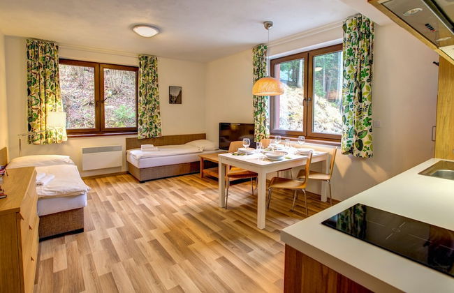 Apartmány TRI STUDNIČKY - Foto 69