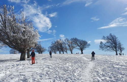 Landhuis Appartement Feldberg Uitzicht - Foto 67