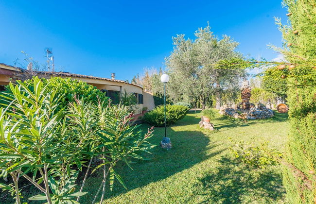 Hibiscus in Sa Pobla - Foto 31