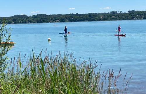 La Vie en rose - Foto 60