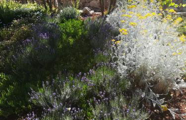 Kuća za odmor Maruška - Foto 21