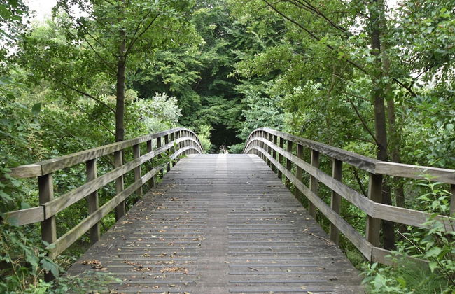 Water Villa With Garden and Jetty Near Harderwijk - Photo 38