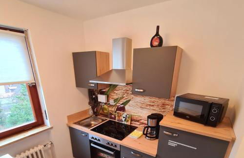 1,5 Zimmer Apartments mit traumhafter Aussicht - Foto 7