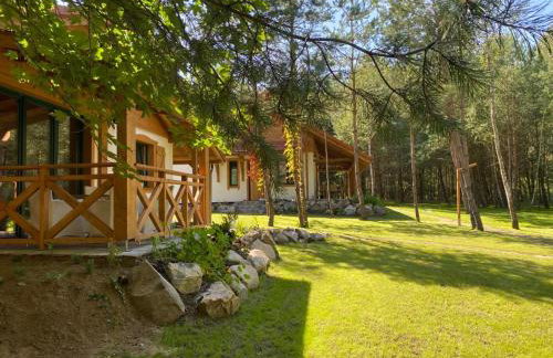 Leśna Kryjówka domki w lesie - Foto 1