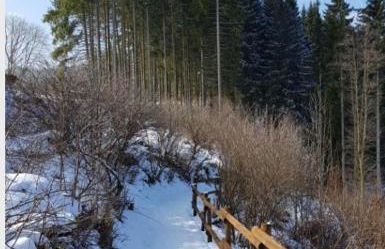 Nationalpark Ferienhaus SOPHIA-LUISA - Foto 28