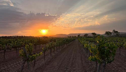 Cal Muntanyès - Foto 3