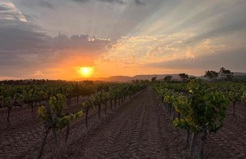 Cal Muntanyès - Foto 3