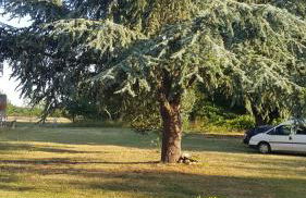 La Turlure - Foto 30