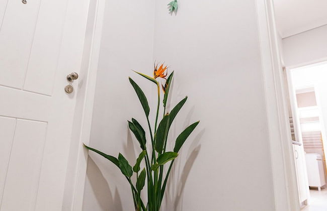 Maré Alta Alojamentos - Foto 59