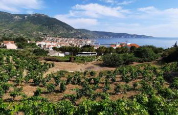 Apartments SUHO Komiza - Photo 30