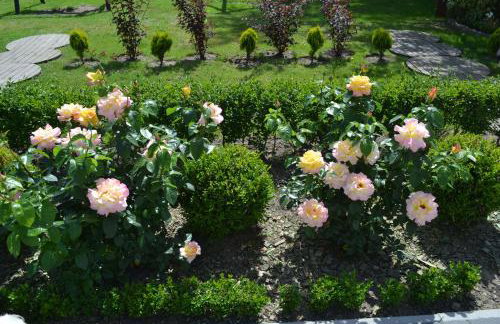 Rancho Colorado - Foto 65