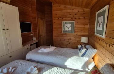 3-Bed Ocean View Lodge - Parking & Terrace - Foto 27