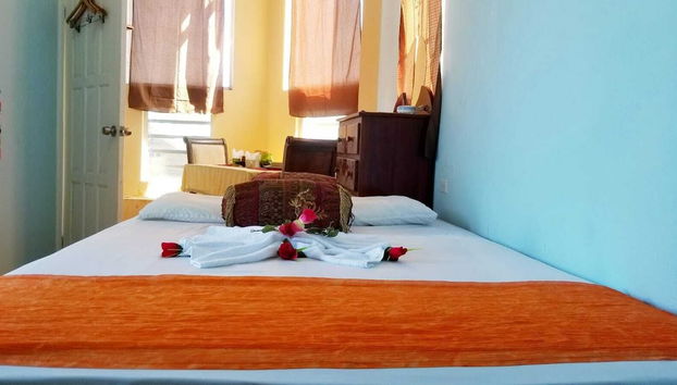 Apartment in Belize with swimming pool and terrace - Photo 4