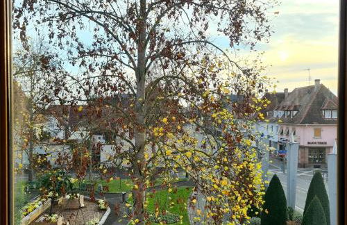 L'Auberge SYRA - Gites Alsace - Proche EuropaPark - Foto 9