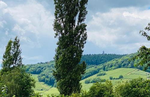 Gîte Spa La grange - Foto 11