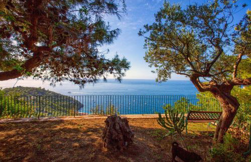 Christa Guest House - Foto 41