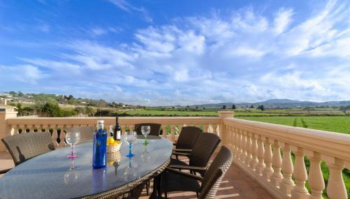 Sort Nova - Foto 4, Other