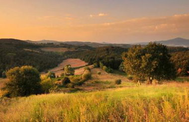 Agriturismo Renello - Foto 38