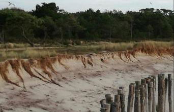 Duplex spacieux avec terrasse, idéal familles & télétravail, proche plages & centre ville - Foto 16