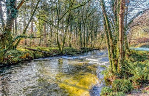 2 Bed in Liskeard oc-77914 - Photo 18