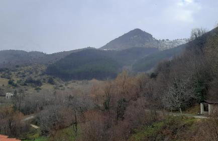 Kria Vrisi - Foto 22