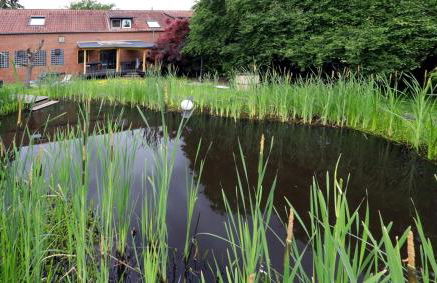 Ferienwohnung am Schwimmteich - Photo 7