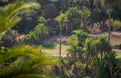 La Casita de Tafira - Foto 51