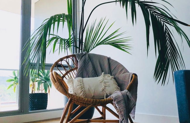 Staying Places - The Avenue - Foto 21