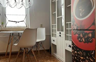 APARTAMENT CENTRUM - Foto 48