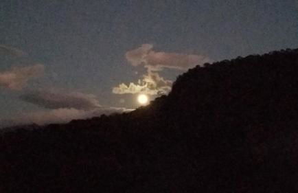 Casa Verde da Floresta da Gávea - Foto 8