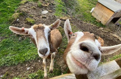 Castle View chalet - Photo 28