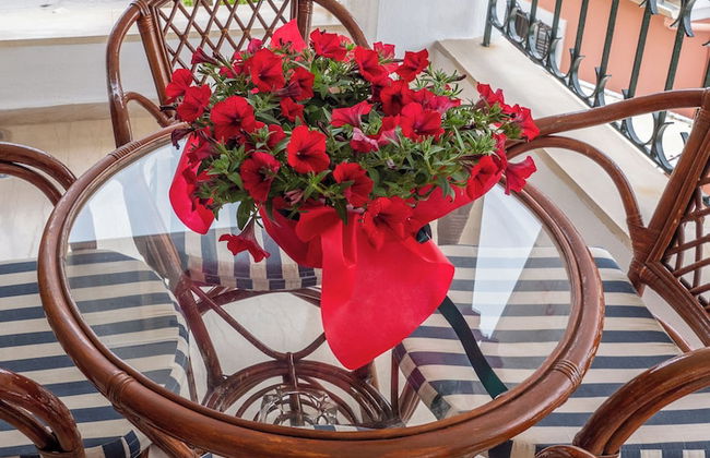 Aleka's House in Corfu Town - Photo 45