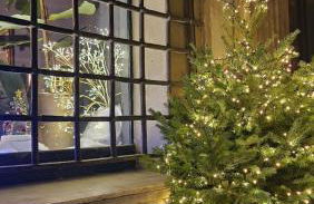 My home in Sarzana - Foto 46