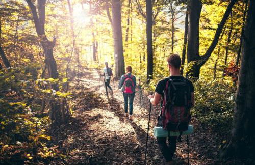 Ferienwohnung Schaumburg- Rosenthal - Foto 15