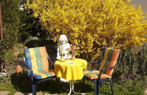 Pension Höchemer - Foto 10