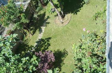 La Magnolia - Photo 2