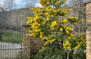 Le Gualchiere - Photo 51