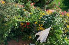 Pilars Fischwerk - Foto 12