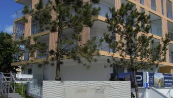 Oasis of Nature - Foto 4