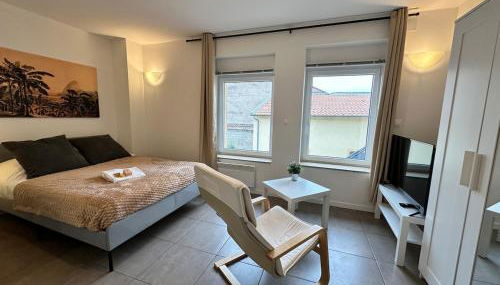 M 104 studio Palm Nest cosy et calme proche Metz - Foto 3
